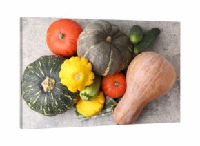 Many fresh pumpkins and other vegetables of gourd family on light grey textured table, flat lay