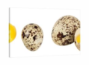Raw quail egg isolated on white background with full depth of field. Top view. Flat lay