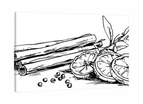 Dried orange slices and cinnamon sticks spices hand drawn vector sketch illustration of winter mulled wine ingredients