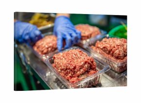 Macro view of freshly ground meat being portioned into clear plastic containers by gloved hands, soft green background enhances the visual contrast and freshness