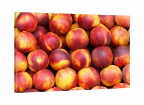 A bunch of red and yellow peaches