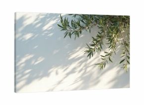 Olive tree branches with green leaves cast shadows on a bright white wall. Sunlight creates dappled patterns on the textured surface, suggesting a warm Mediterranean day.