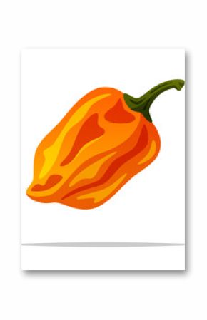 Orange habanero pepper vector isolated illustration