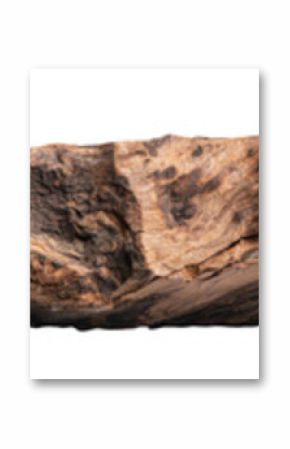 Weeping willow wood, along with dry tree bark, is isolated on white