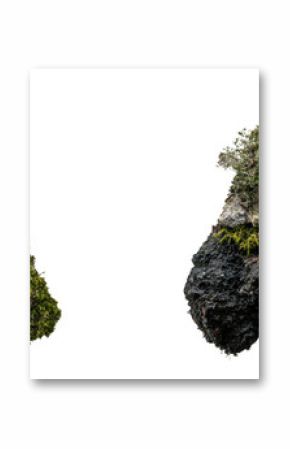 The top view showcases green moss and decorative rocks isolated on a white background, emphasizing the visible texture