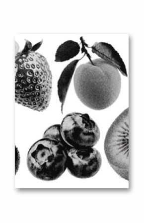 Set of fruit halftone grunge vector design elements
