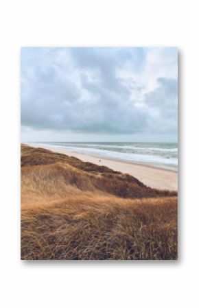 Overcast day at the Dunes in Denmark. High quality photo