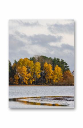 Typical autumn landscape in Trebonsko region, Velky Sustov pond near Suchdol nad Luznici, Southern Bohemia, Czech Republic