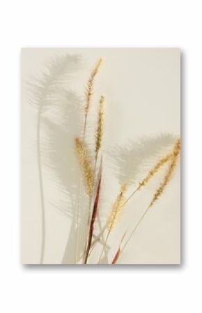 Dry grass neutral beige color on light  background close up. Plant texture. Scandinavian minimalistic  home design poster. Floral card.