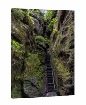 wild hell trail in saxon switzerland, germany
