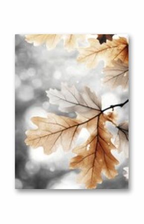 Autumnal oak leaves, soft light, out-of-focus background.  Delicate,  fall colors on branches,  gentle bokeh