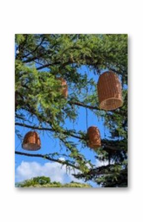 outdoor decor featuring several rustic wicker lampshades hanging from the branches of lush green trees against a bright blue sky.