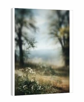Misty forest path with wildflowers