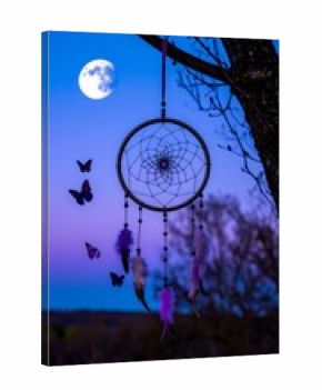 Dream catcher at sunset