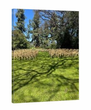 Elegant Garden Wedding Ceremony Setup with Natural Wooden Chairs under Blue Sky