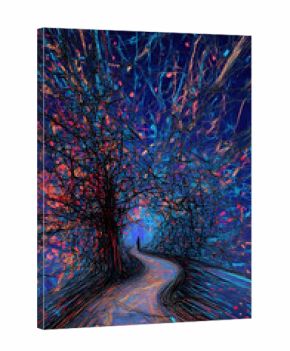 Path  inside a forest in the night