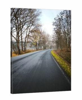 autumn nature in bohemian forest cesky les in czechia