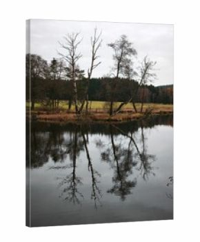 autumn nature in bohemian forest cesky les in czechia