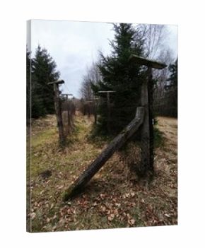 autumn nature in bohemian forest cesky les in czechia