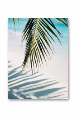 Palm leaf shadow on tropical beach, tranquil