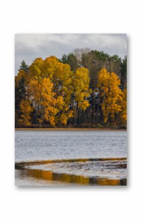 Typical autumn landscape in Trebonsko region, Velky Sustov pond near Suchdol nad Luznici, Southern Bohemia, Czech Republic