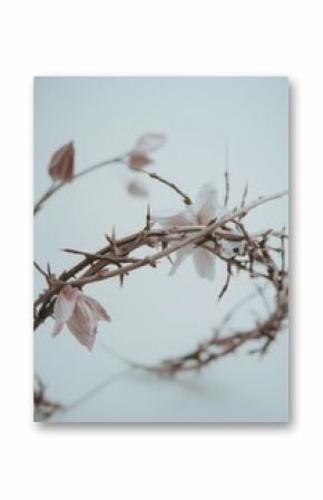 Beautiful handmade floral crown made from dried flowers and twigs on a neutral background