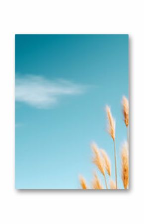Golden Pampas Grass Against a Vibrant Blue Sky