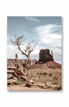 Print poster of Monument Valley. Warm boho photo of desert panoramic view. Navajo tribal park, on the Border between Arizona and Utah, United States. Amazing and colorful rocks. Western concept. 