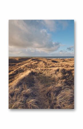 Wide Grass Dunes in Denmark in winter. High quality photo