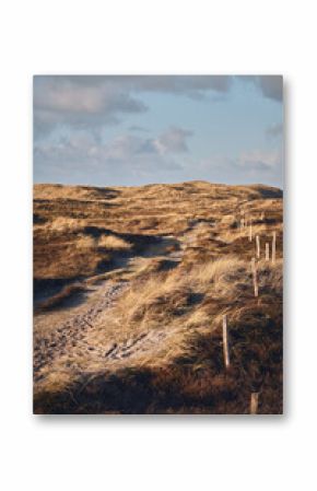 remote Path in wide dune landscape at Denmarks west coast. High quality photo