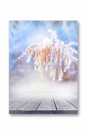 Wooden table, platform and frozen winter scene. Amazing nature background. Frozen grass  close up and copy space. Winter wonderland.