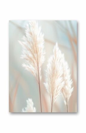 Golden pampas grass in the sky, abstract natural background of soft Cortaderia selloana plants moving in the wind. Minimal, stylish, trend concept.