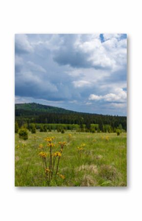 Typical spring landscape near Stozec, Nation park Sumava, Czech Republic