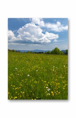 Typicallandscape near Modrava, Nation park Sumava, Czech Republic