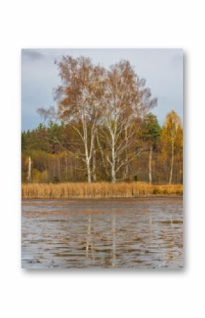 Typical autumn landscape in Trebonsko region, Velky Sustov pond near Suchdol nad Luznici, Southern Bohemia, Czech Republic