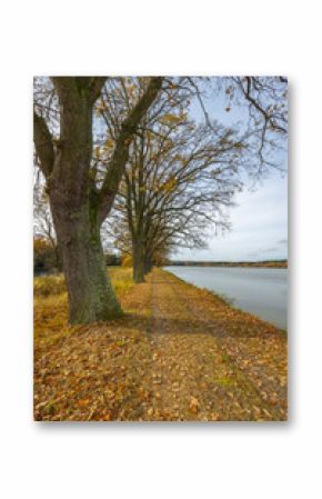 Typical autumn landscape in Trebonsko region, Velky Sustov pond near Suchdol nad Luznici, Southern Bohemia, Czech Republic