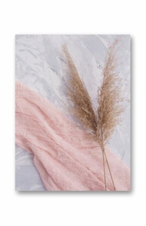 Dried natural pampas grass on pink surface background. Minimal concept. Flat lay, copy space, top view. The aesthetics of wabi sabi. Natural material.