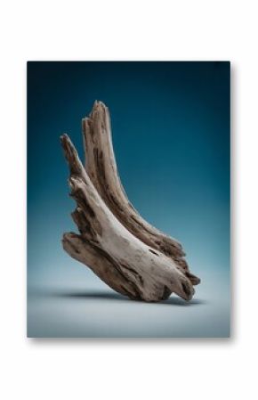 Intricate Driftwood Piece Against a Teal Background