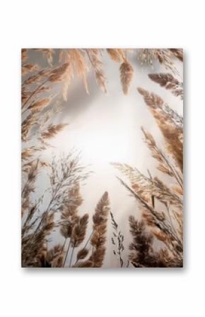 A minimalist background with pampas grass and soft sunlight shadows, a boho aesthetic. Generated image