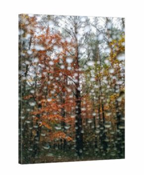 Raindrops blurring colorful autumn forest seen through car window