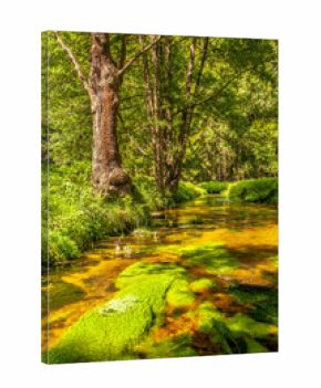 The image depicts the picturesque landscape of the Czech Switzerland National Park. The picture shows green foliage in a valley with a stream, which is typical for this area. czech republic