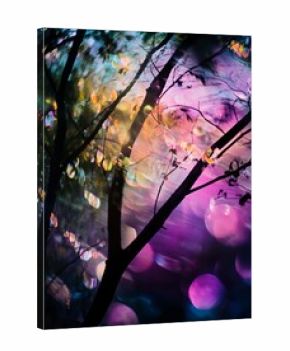 Silhouetted trees against a vibrant, colorful, abstract sky