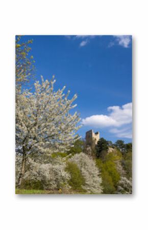 Valecov castle ruins, Middle Bohemia, Czech Republic