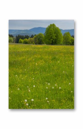 Typicallandscape near Modrava, Nation park Sumava, Czech Republic