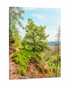 hiking in Jetrichovice steny (Vilemina's wall, behind Rudolf's kamen, Maria's viewpoint) It offers a beautiful view of Jetrichovice in Bohemian Switzerland