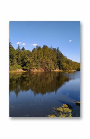 Lake reflecting trees and blue sky in czechia, south bohemian region