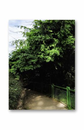 Walking path by orlik castle in czechia during summer in july