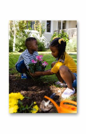 African american brother and sister planting fresh flowers on grassy land in yard outside house