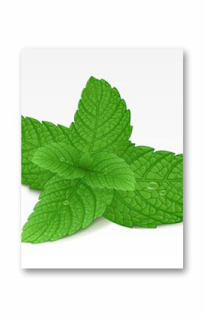 Mint leaf