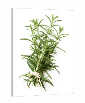 tied twigs of rosemary